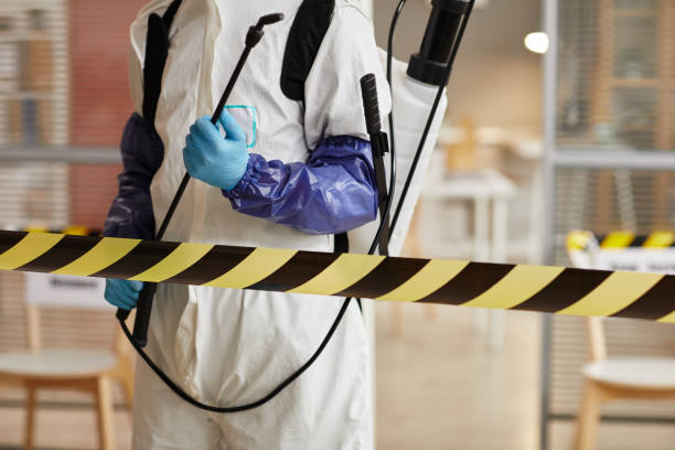 Professional Odor Removal technician working in Burghill, OH